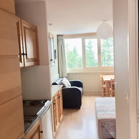 Resid Bec De L Aigle Studio 22 - Le Lioran Laveissiere Exterior photo