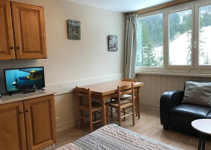 Resid Bec De L Aigle Studio 22 - Le Lioran