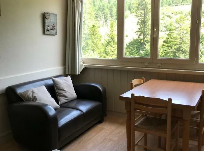 Resid Bec De L Aigle Studio 22 - Le Lioran