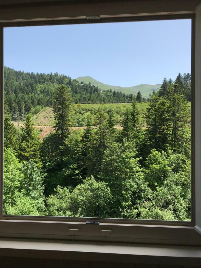 Resid Bec De L Aigle 22 - Le Lioran